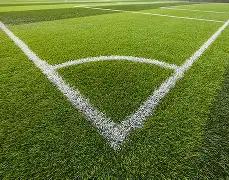 杨紫发文祝,福李现,同窗日,哈哈体育官方网站,哈哈体育,(HAHA,SPORT),哈哈体育平台首页,哈哈体育平台官网入口