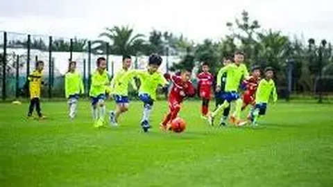 哈哈体育官方网站 产品 090103 sas