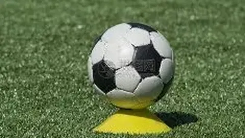 哈哈体育官方网站 产品 093135 p8s