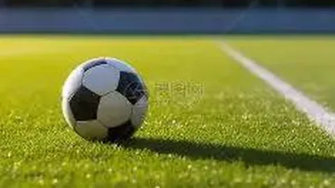 汉阴县繁育基地启用，30万优质鲈鱼苗落户新家园