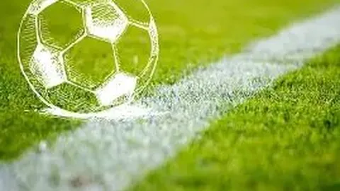 世界杯版内容大揭秘，年度升级即将上线