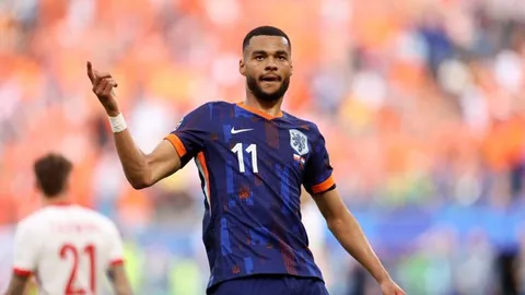 哈哈体育官方网站 产品 085417 c97