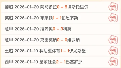 樊振东巴黎奥运会受挫，张本智和笑意难辨，刘丁硕正名：并非众口一词之人