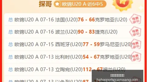 哈哈体育官方网站 162402 6