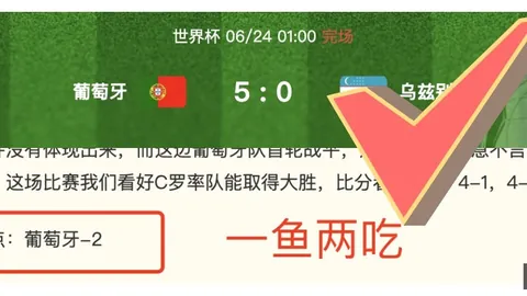 土耳其队长缺席，奥地利晋级前景分析：赔率前瞻