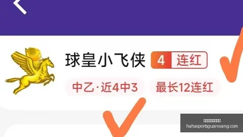 上海队员全运会赛场遭遇暴力，组委会紧急行动打击球场恶劣行为